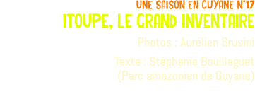 une saison en guyane n°17 itoupe, le grand inventaire Photos : Aurélien Brusini Texte : Stéphanie Bouillaguet (Parc amazonien de Guyane) 
